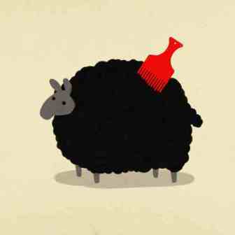 Black sheep with comb
